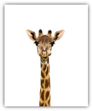 Safari Baby Animals Nursery Decor Art - Set of 4 UNFRAMED Wall Prints 8x10