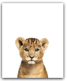 Safari Baby Animals Nursery Decor Art - Set of 4 UNFRAMED Wall Prints 8x10