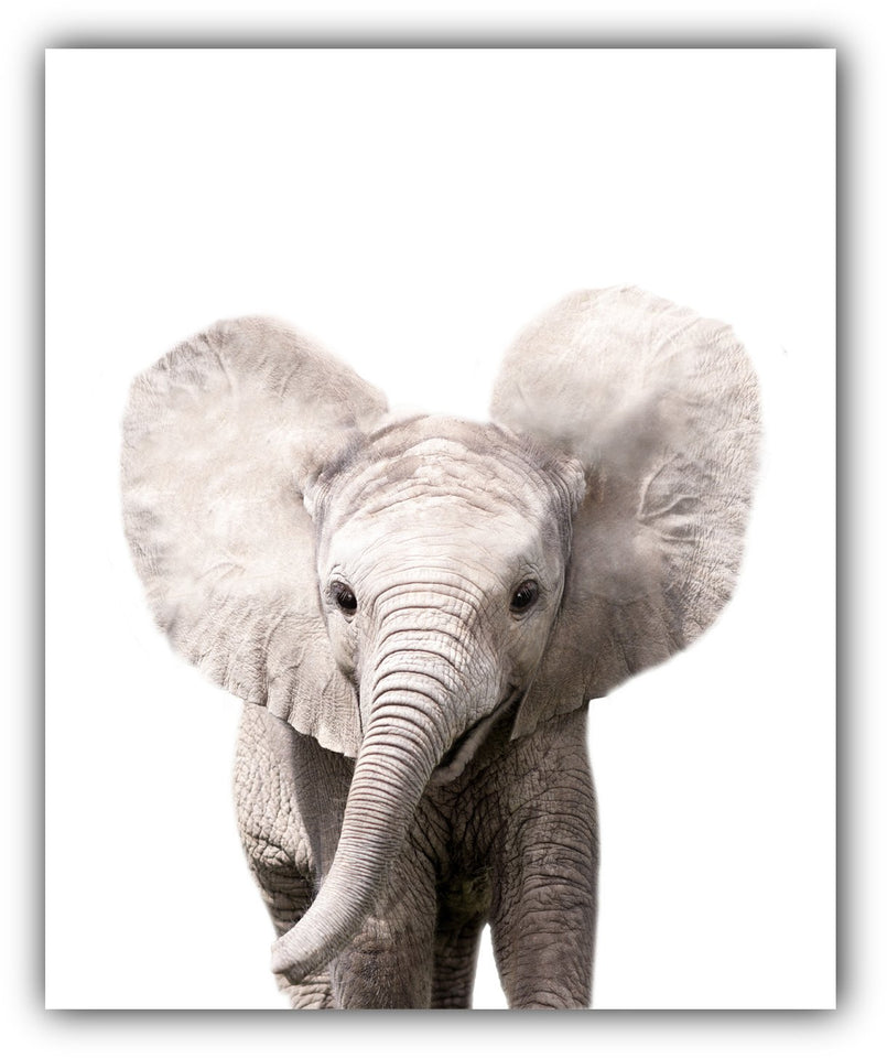 Safari Baby Animals Nursery Decor Art - Set of 4 UNFRAMED Wall Prints 8x10