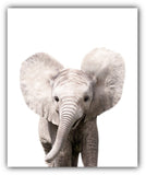 Safari Baby Animals Nursery Decor Art - Set of 4 UNFRAMED Wall Prints 8x10