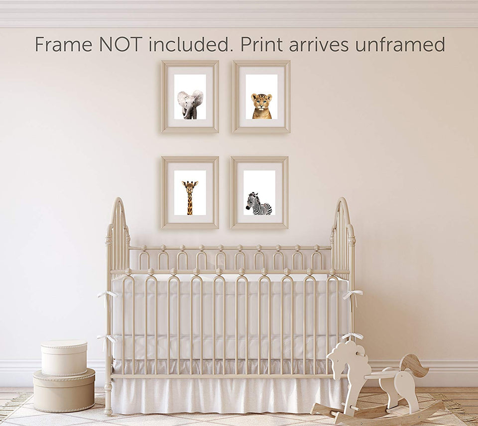 Safari Baby Animals Nursery Decor Art - Set of 4 UNFRAMED Wall Prints 8x10