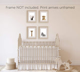 Safari Baby Animals Nursery Decor Art - Set of 4 UNFRAMED Wall Prints 8x10
